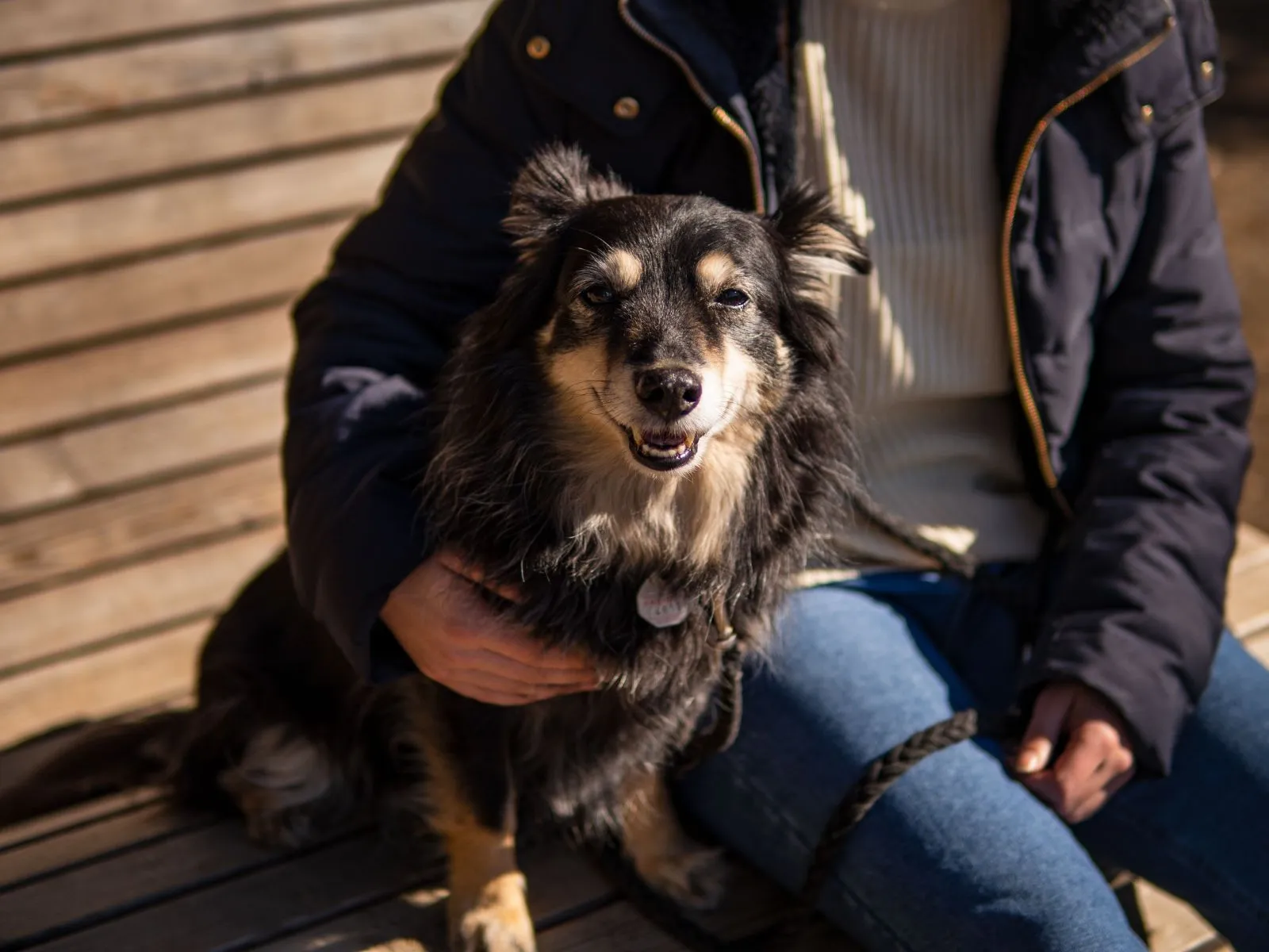 A sitter on a park bench with a client's dog in her lap